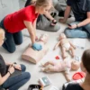 Formation RCP avec mannequins adultes et bébés.